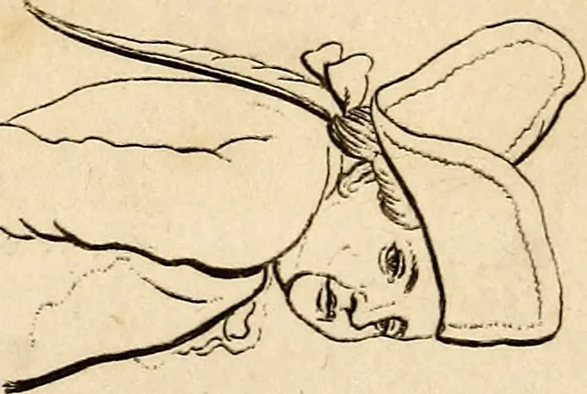 An illustration from Essays on physiognomy; calculated to extend the knowledge and the love of mankind, 1797, leaf 52