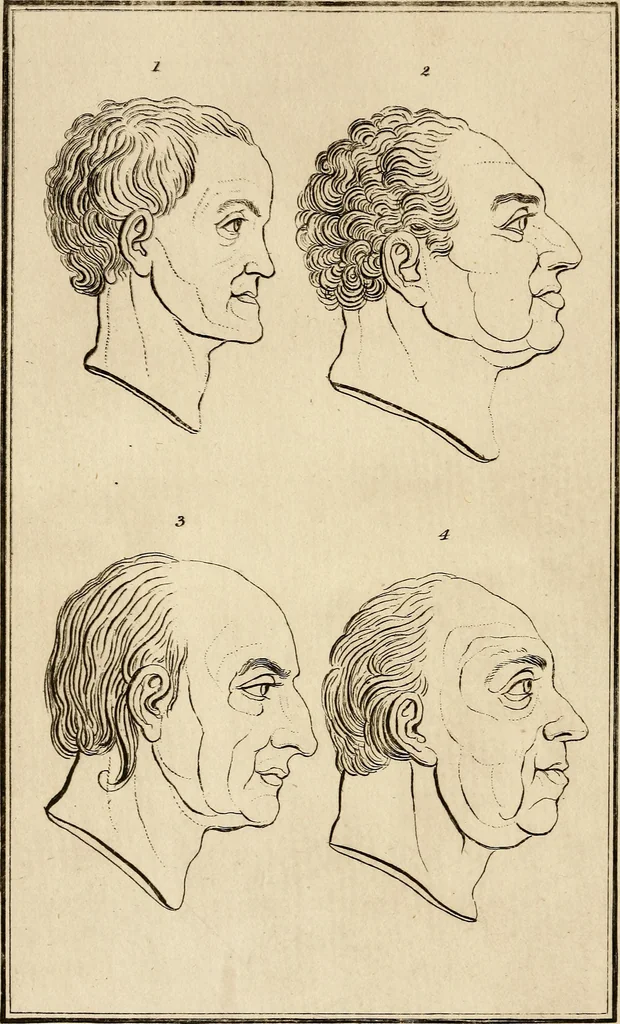 An illustration from Essays on physiognomy; calculated to extend the knowledge and the love of mankind, 1797, leaf 55