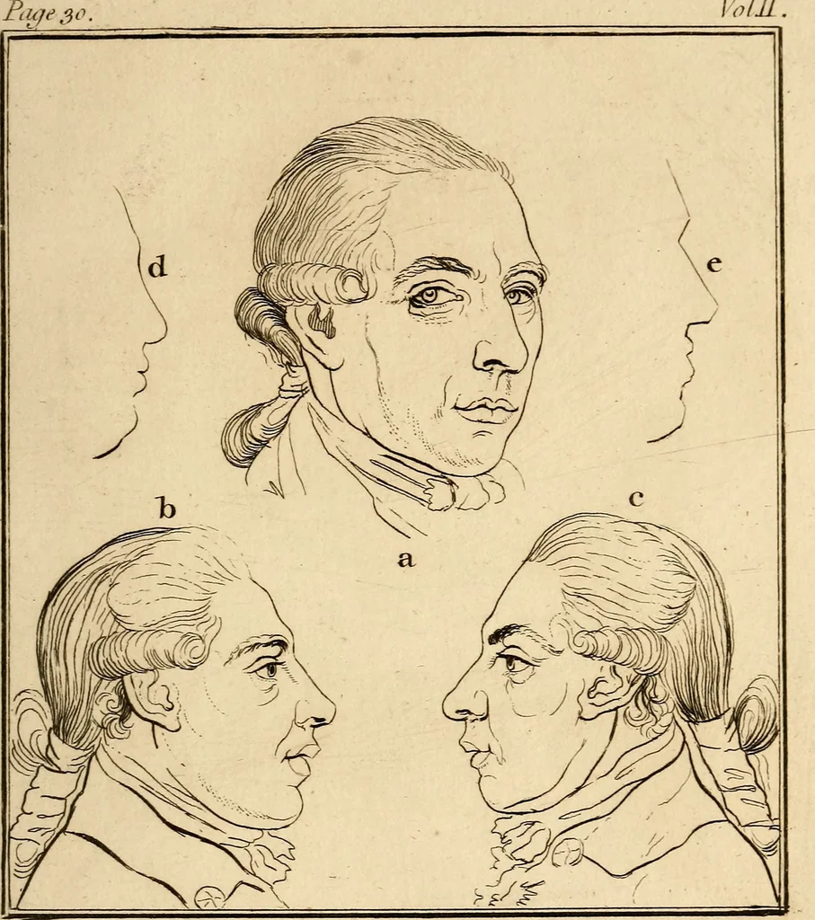 An illustration from Essays on physiognomy; calculated to extend the knowledge and the love of mankind, 1797, leaf 58