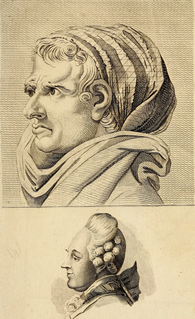 An illustration from Essays on physiognomy; calculated to extend the knowledge and the love of mankind, 1797, leaf 66