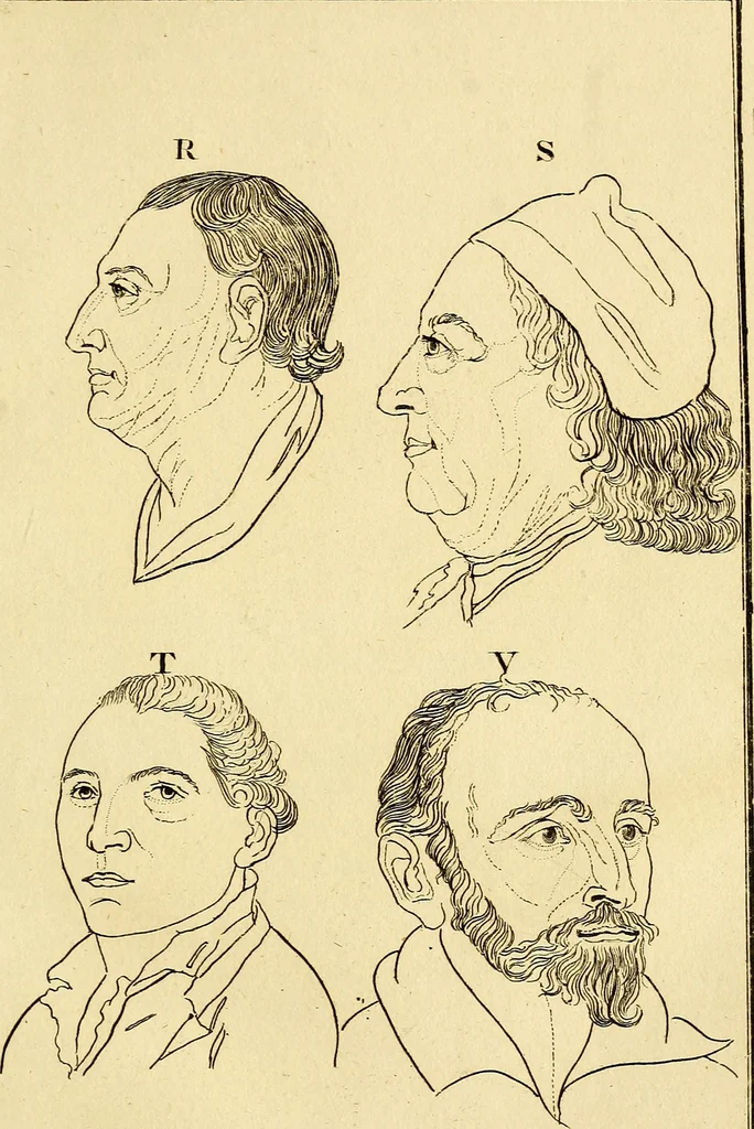 An illustration from Essays on physiognomy; calculated to extend the knowledge and the love of mankind, 1797, leaf 106
