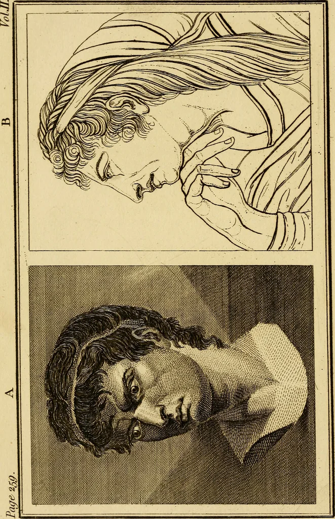 An illustration from Essays on physiognomy; calculated to extend the knowledge and the love of mankind, 1797, leaf 123