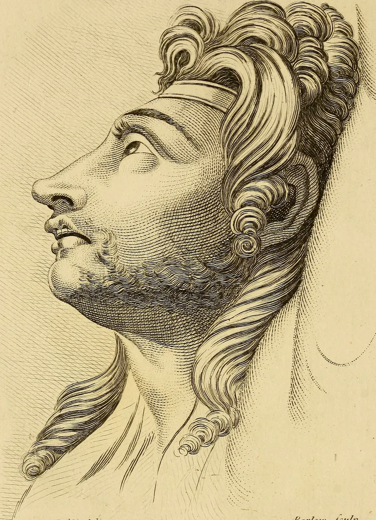An illustration from Essays on physiognomy; calculated to extend the knowledge and the love of mankind, 1797, leaf 127