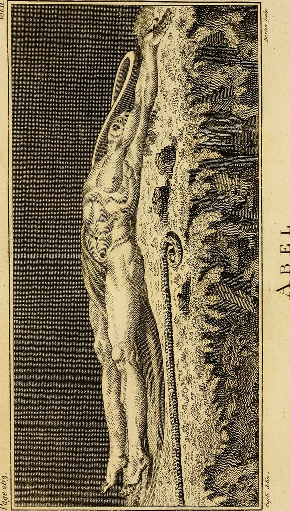 An illustration from Essays on physiognomy; calculated to extend the knowledge and the love of mankind, 1797, leaf 135