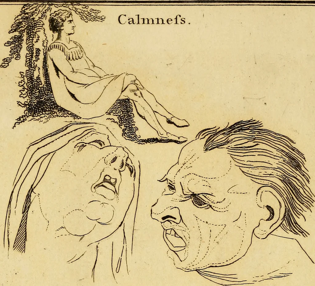 An illustration from Essays on physiognomy; calculated to extend the knowledge and the love of mankind, 1797, leaf 145