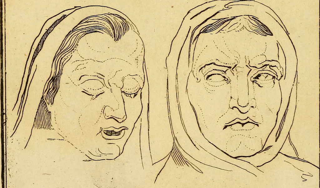 An illustration from Essays on physiognomy; calculated to extend the knowledge and the love of mankind, 1797, leaf 145