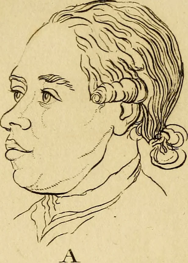 An illustration from Essays on physiognomy; calculated to extend the knowledge and the love of mankind, 1797, leaf 171