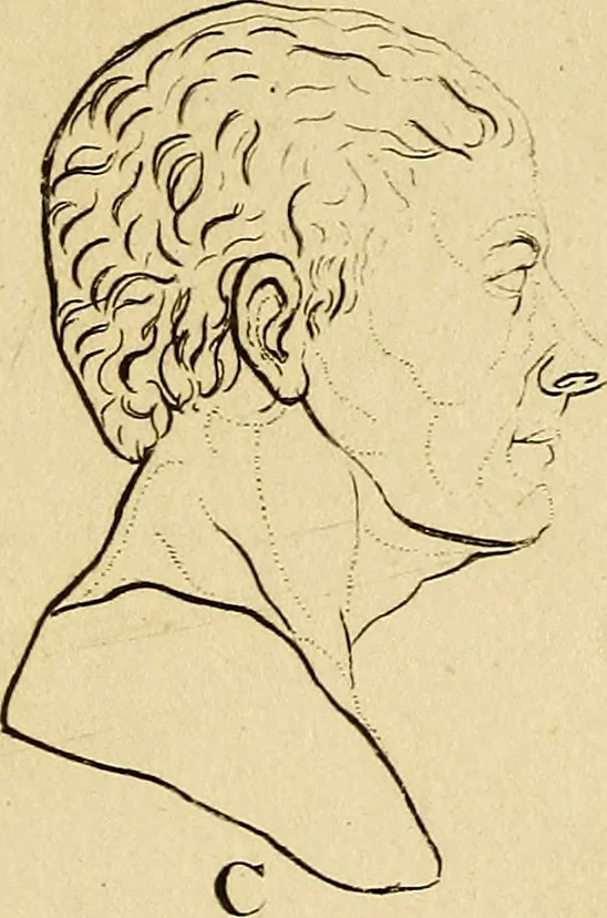 An illustration from Essays on physiognomy; calculated to extend the knowledge and the love of mankind, 1797, leaf 171