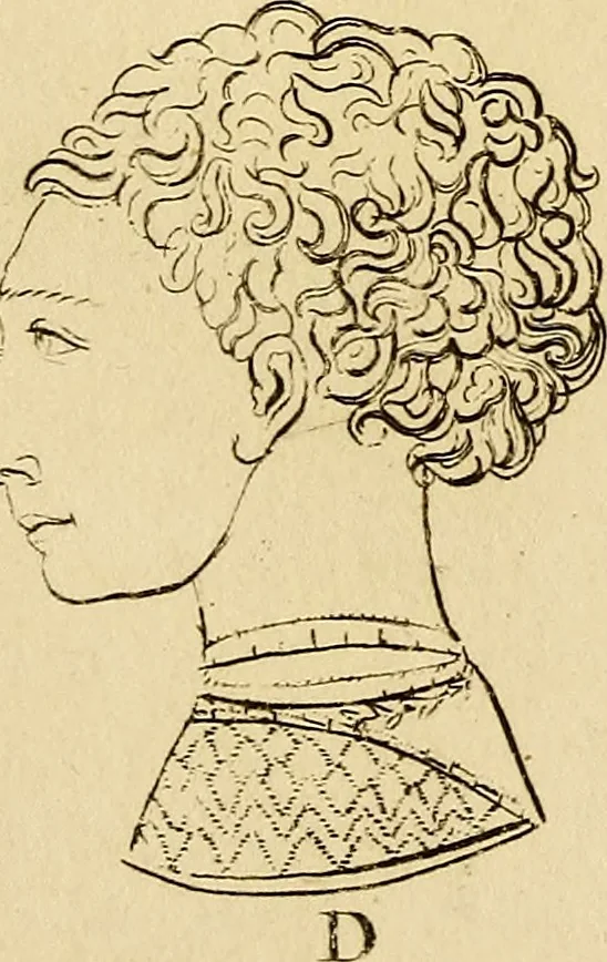 An illustration from Essays on physiognomy; calculated to extend the knowledge and the love of mankind, 1797, leaf 171