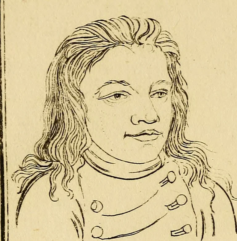 An illustration from Essays on physiognomy; calculated to extend the knowledge and the love of mankind, 1797, leaf 175