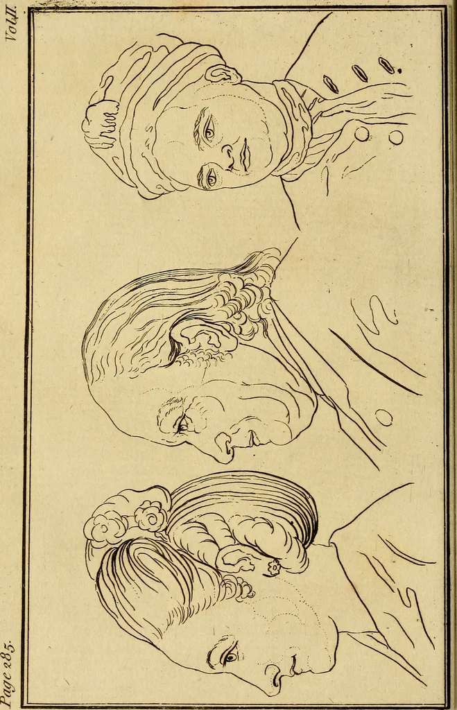An illustration from Essays on physiognomy; calculated to extend the knowledge and the love of mankind, 1797, leaf 185