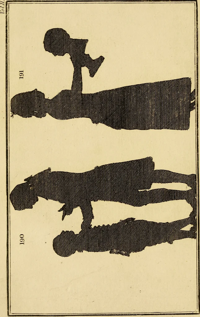 An illustration from Essays on physiognomy; calculated to extend the knowledge and the love of mankind, 1797, leaf 19