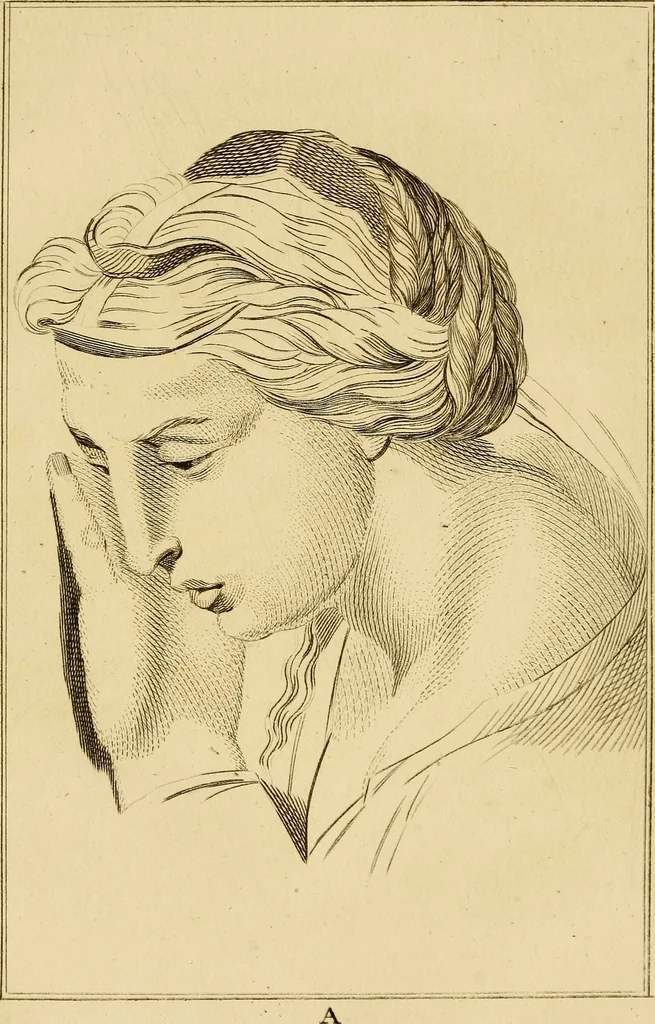 An illustration from Essays on physiognomy; calculated to extend the knowledge and the love of mankind, 1797, leaf 199