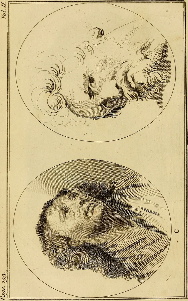 An illustration from Essays on physiognomy; calculated to extend the knowledge and the love of mankind, 1797, leaf 205