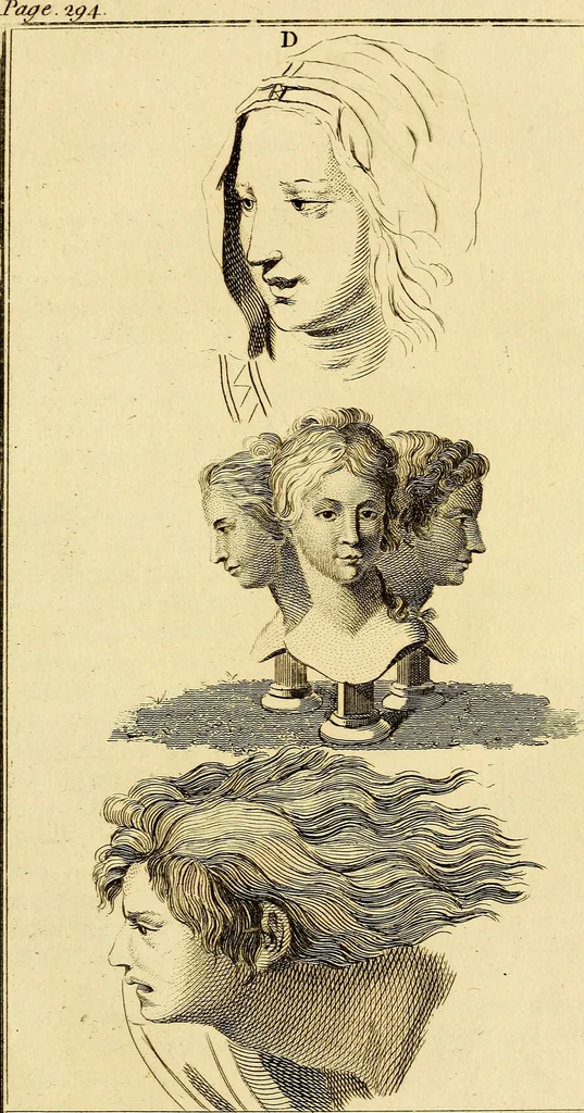 An illustration from Essays on physiognomy; calculated to extend the knowledge and the love of mankind, 1797, leaf 208