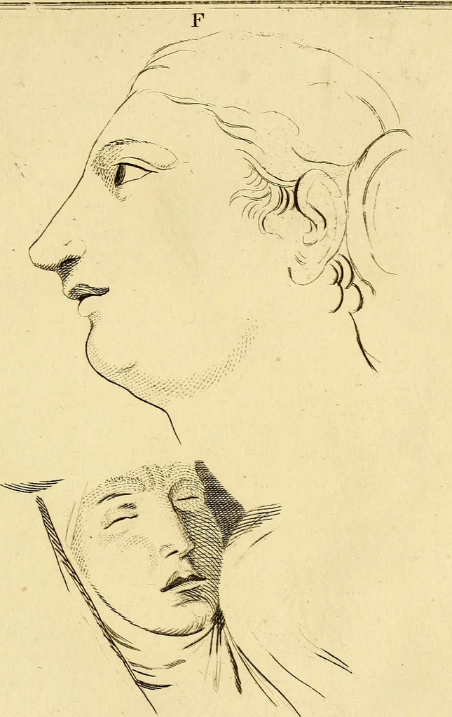 An illustration from Essays on physiognomy; calculated to extend the knowledge and the love of mankind, 1797, leaf 212