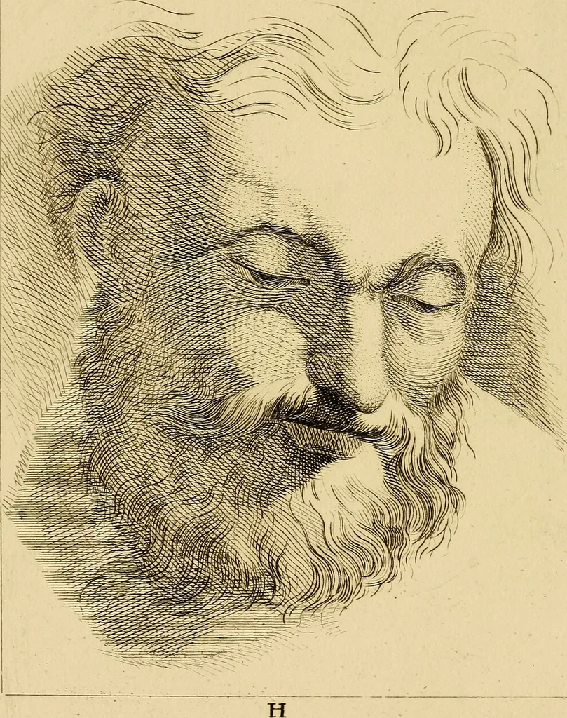 An illustration from Essays on physiognomy; calculated to extend the knowledge and the love of mankind, 1797, leaf 215