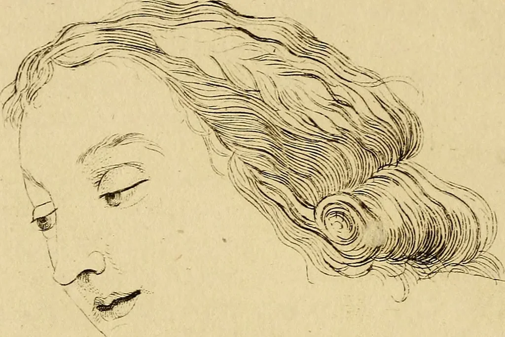 An illustration from Essays on physiognomy; calculated to extend the knowledge and the love of mankind, 1797, leaf 219