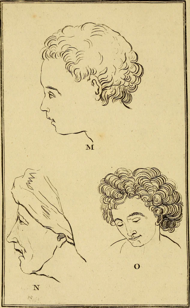 An illustration from Essays on physiognomy; calculated to extend the knowledge and the love of mankind, 1797, leaf 223