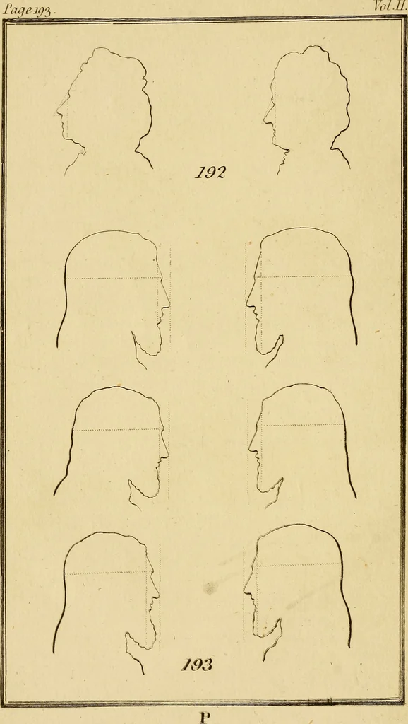 An illustration from Essays on physiognomy; calculated to extend the knowledge and the love of mankind, 1797, leaf 23