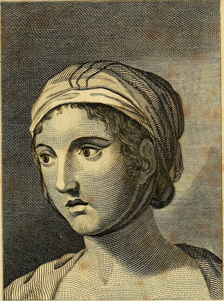 An illustration from Essays on physiognomy; calculated to extend the knowledge and the love of mankind, 1797, leaf 240