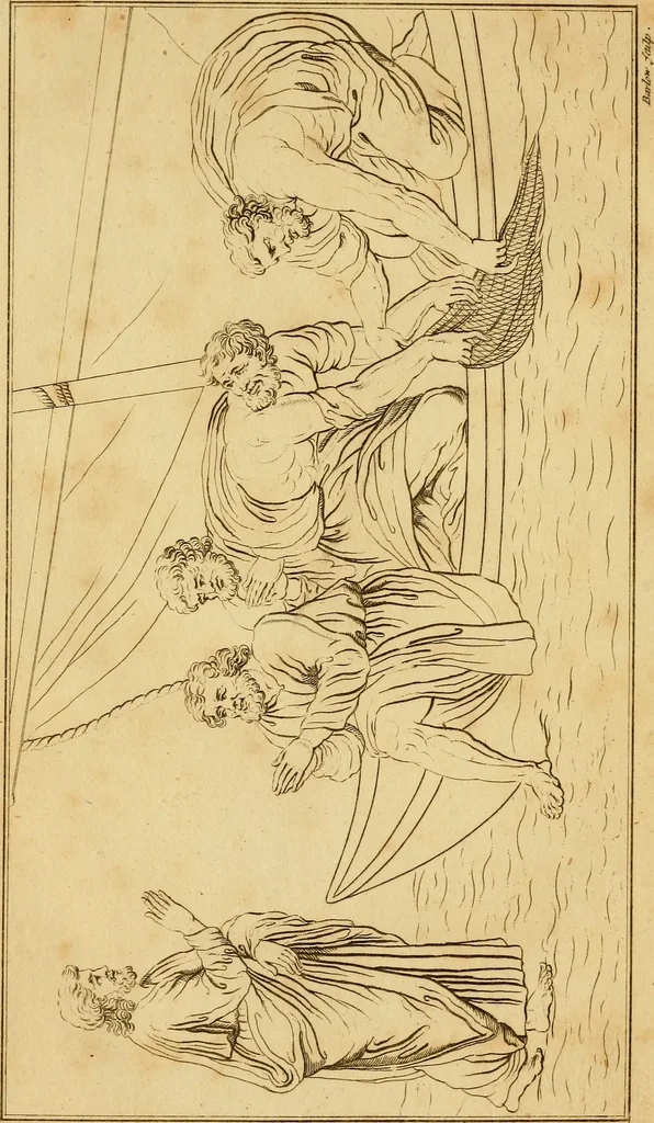 An illustration from Essays on physiognomy; calculated to extend the knowledge and the love of mankind, 1797, leaf 243