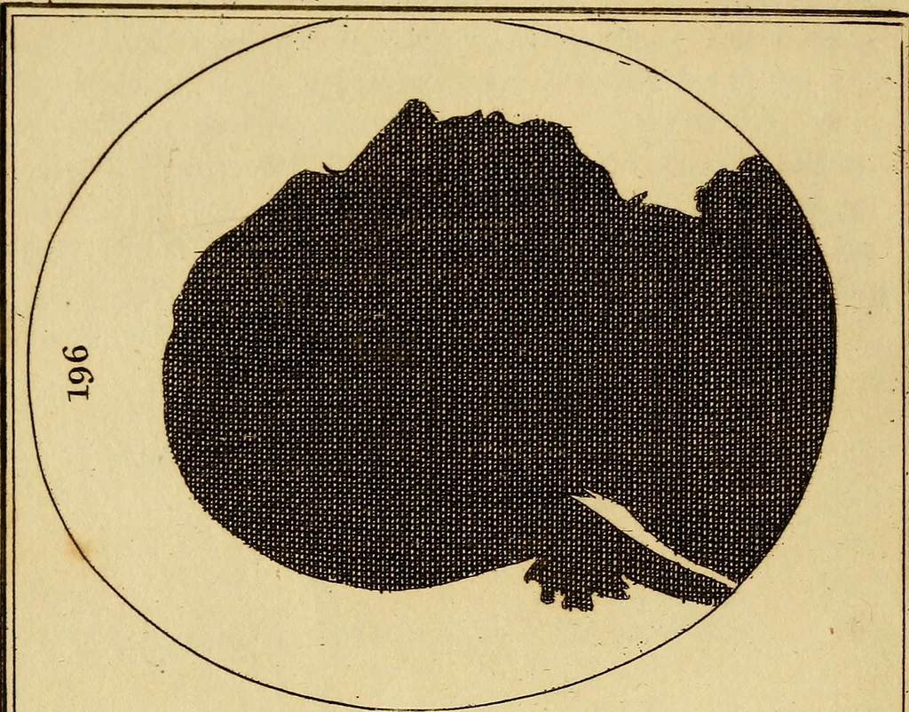 An illustration from Essays on physiognomy; calculated to extend the knowledge and the love of mankind, 1797, leaf 27