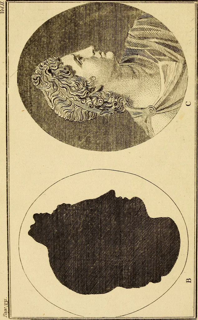 An illustration from Essays on physiognomy; calculated to extend the knowledge and the love of mankind, 1797, leaf 275