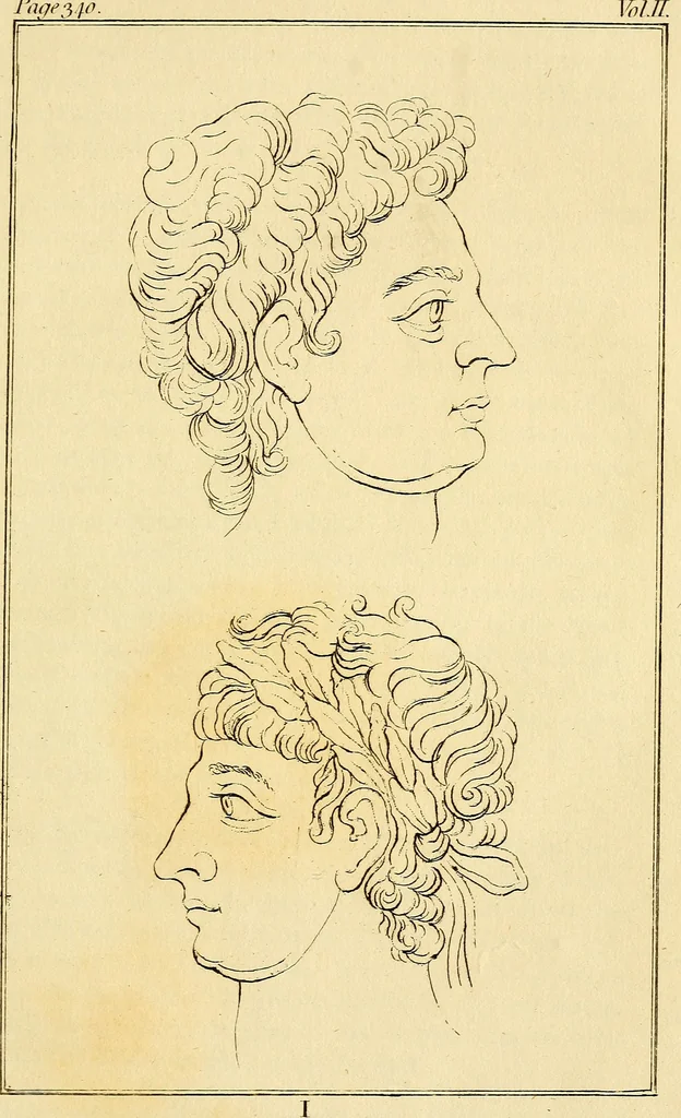 An illustration from Essays on physiognomy; calculated to extend the knowledge and the love of mankind, 1797, leaf 292