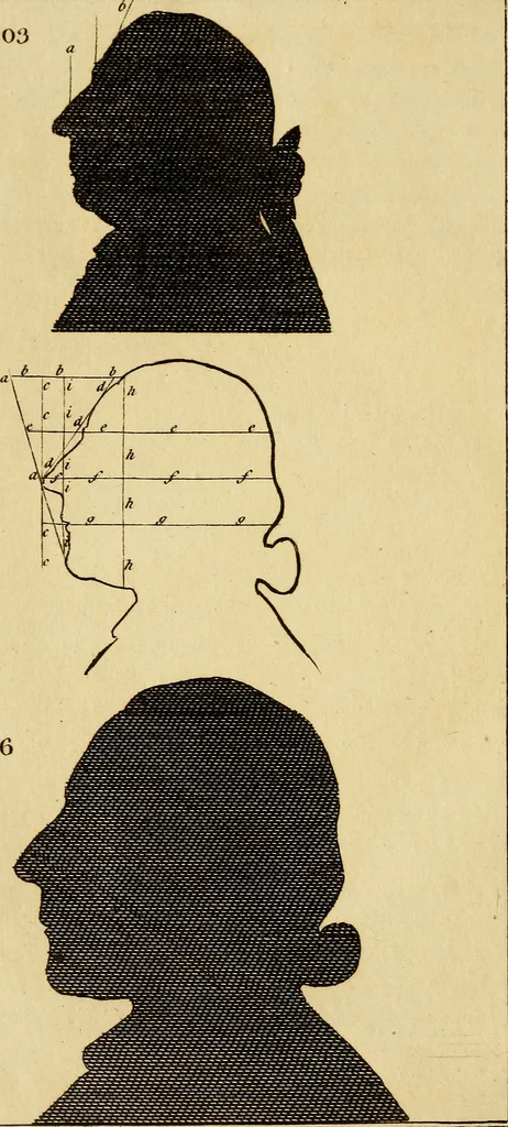 An illustration from Essays on physiognomy; calculated to extend the knowledge and the love of mankind, 1797, leaf 41