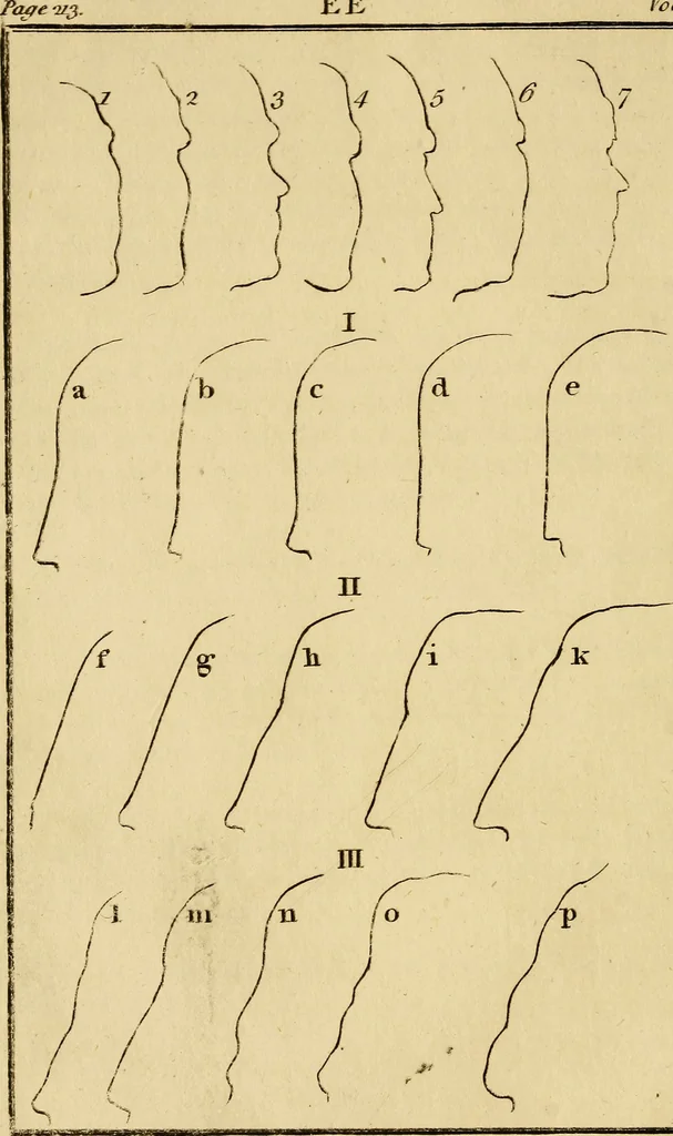 An illustration from Essays on physiognomy; calculated to extend the knowledge and the love of mankind, 1797, leaf 53