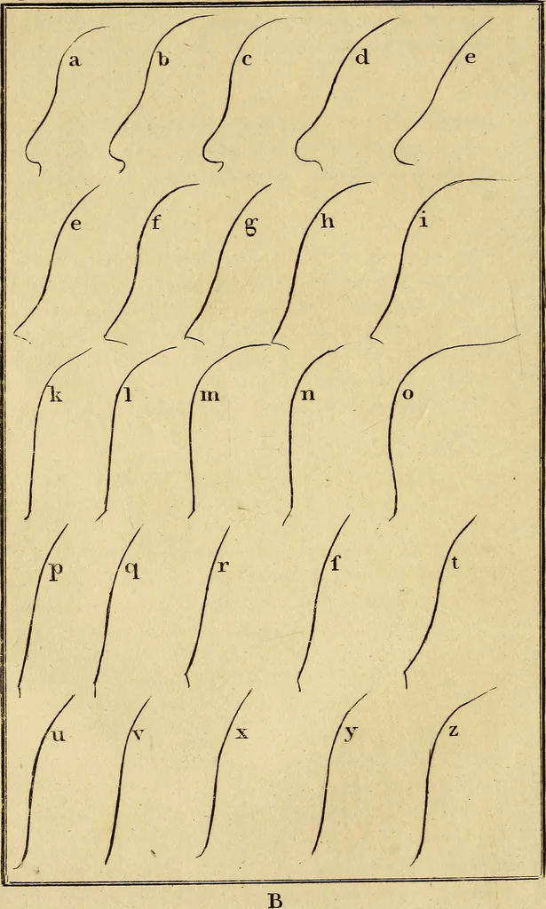 An illustration from Essays on physiognomy; calculated to extend the knowledge and the love of mankind, 1797, leaf 59