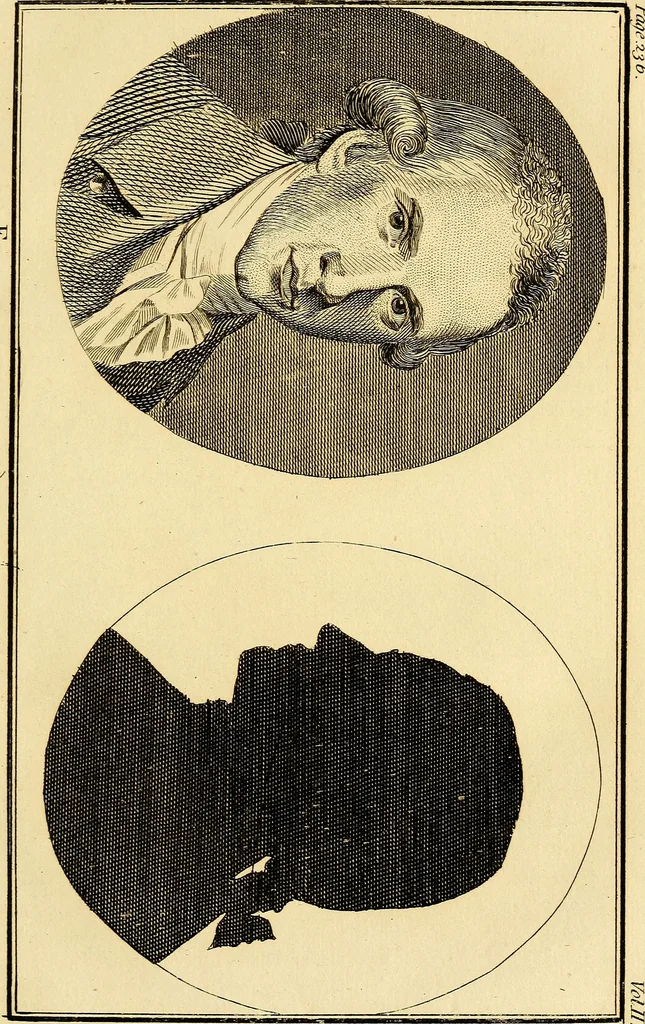 An illustration from Essays on physiognomy; calculated to extend the knowledge and the love of mankind, 1797, leaf 80