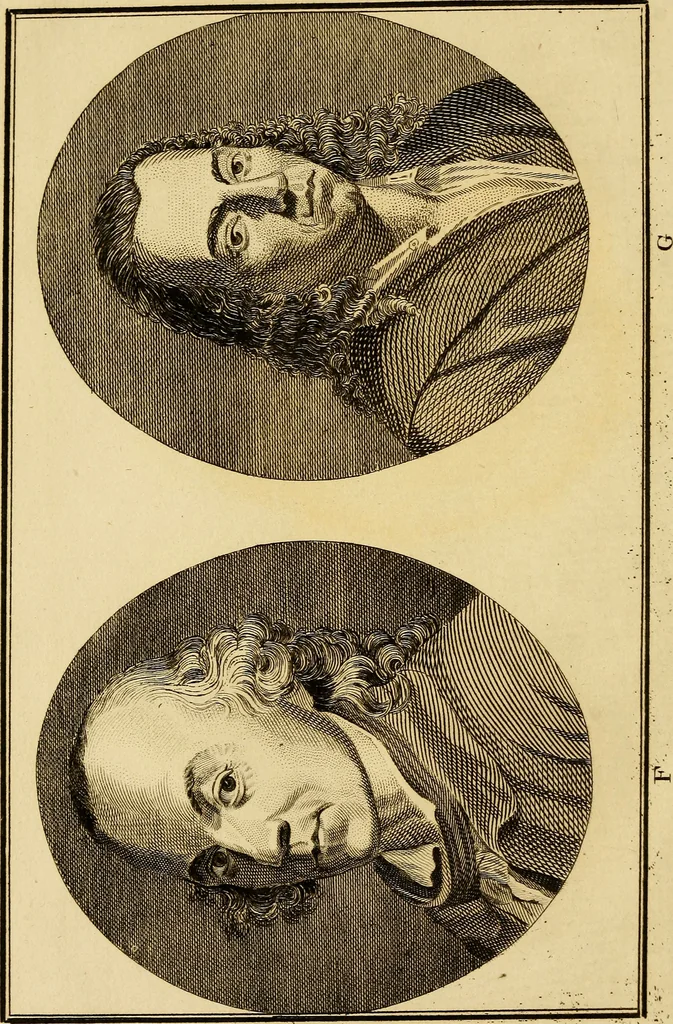 An illustration from Essays on physiognomy; calculated to extend the knowledge and the love of mankind, 1797, leaf 83