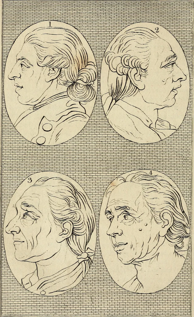 An illustration from Essays on physiognomy; calculated to extend the knowledge and the love of mankind, 1797, leaf 121