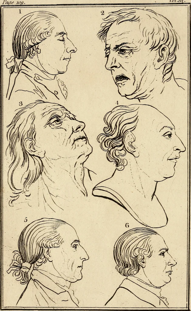 An illustration from Essays on physiognomy; calculated to extend the knowledge and the love of mankind, 1797, leaf 129
