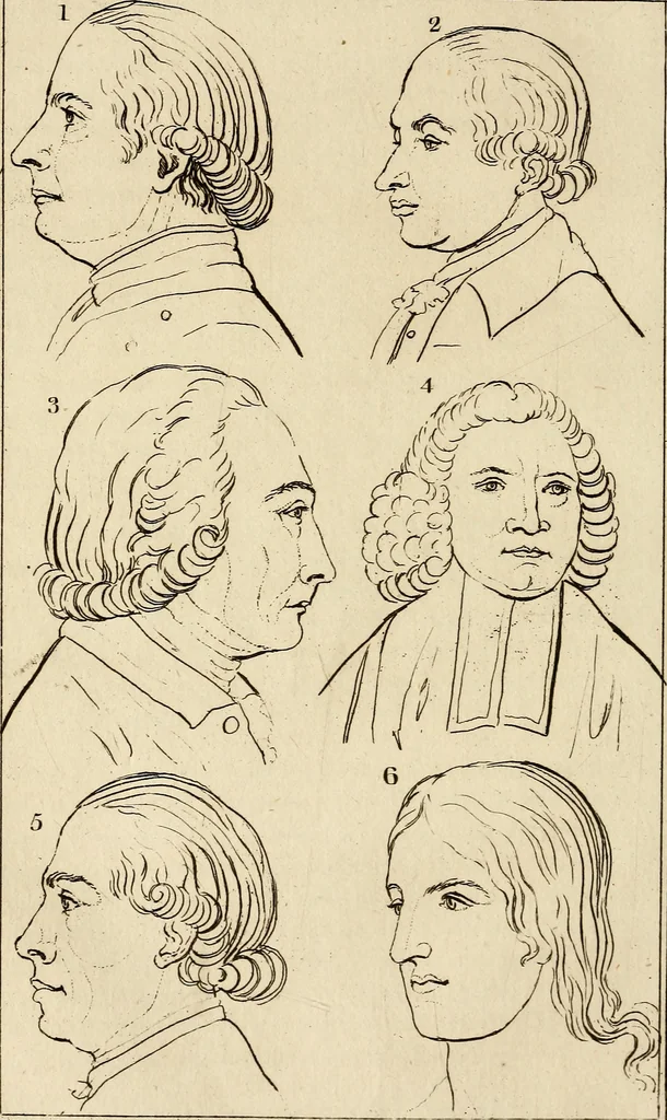 An illustration from Essays on physiognomy; calculated to extend the knowledge and the love of mankind, 1797, leaf 133