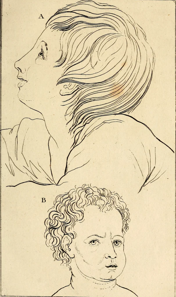 An illustration from Essays on physiognomy; calculated to extend the knowledge and the love of mankind, 1797, leaf 160