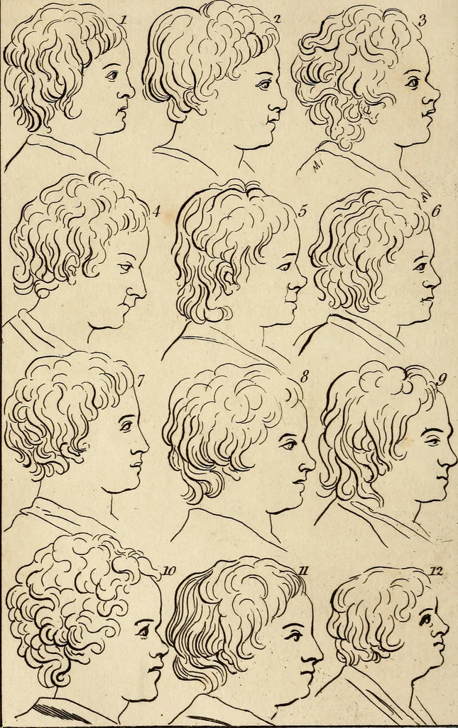An illustration from Essays on physiognomy; calculated to extend the knowledge and the love of mankind, 1797, leaf 163