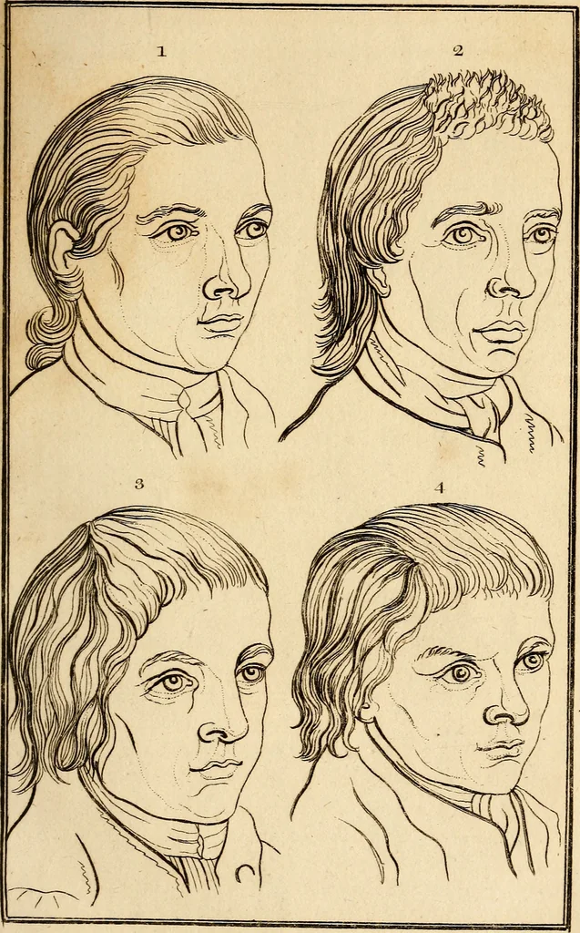 An illustration from Essays on physiognomy; calculated to extend the knowledge and the love of mankind, 1797, leaf 170