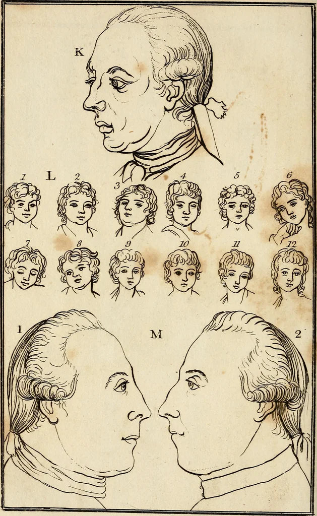 An illustration from Essays on physiognomy; calculated to extend the knowledge and the love of mankind, 1797, leaf 175