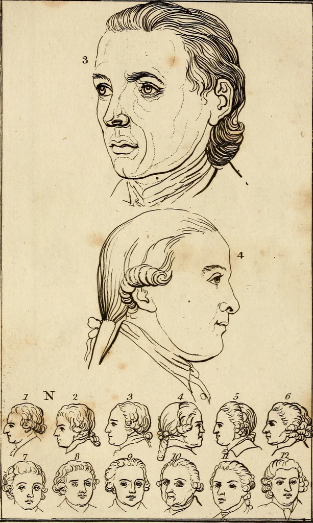 An illustration from Essays on physiognomy; calculated to extend the knowledge and the love of mankind, 1797, leaf 177