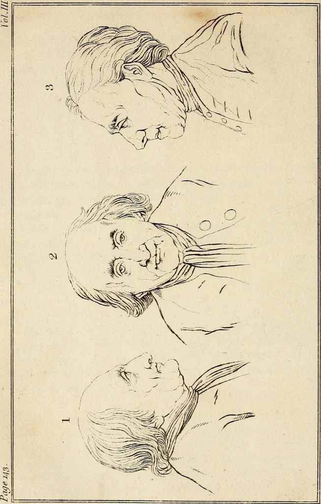 An illustration from Essays on physiognomy; calculated to extend the knowledge and the love of mankind, 1797, leaf 185