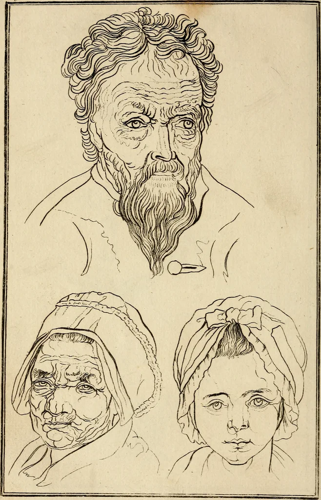 An illustration from Essays on physiognomy; calculated to extend the knowledge and the love of mankind, 1797, leaf 187