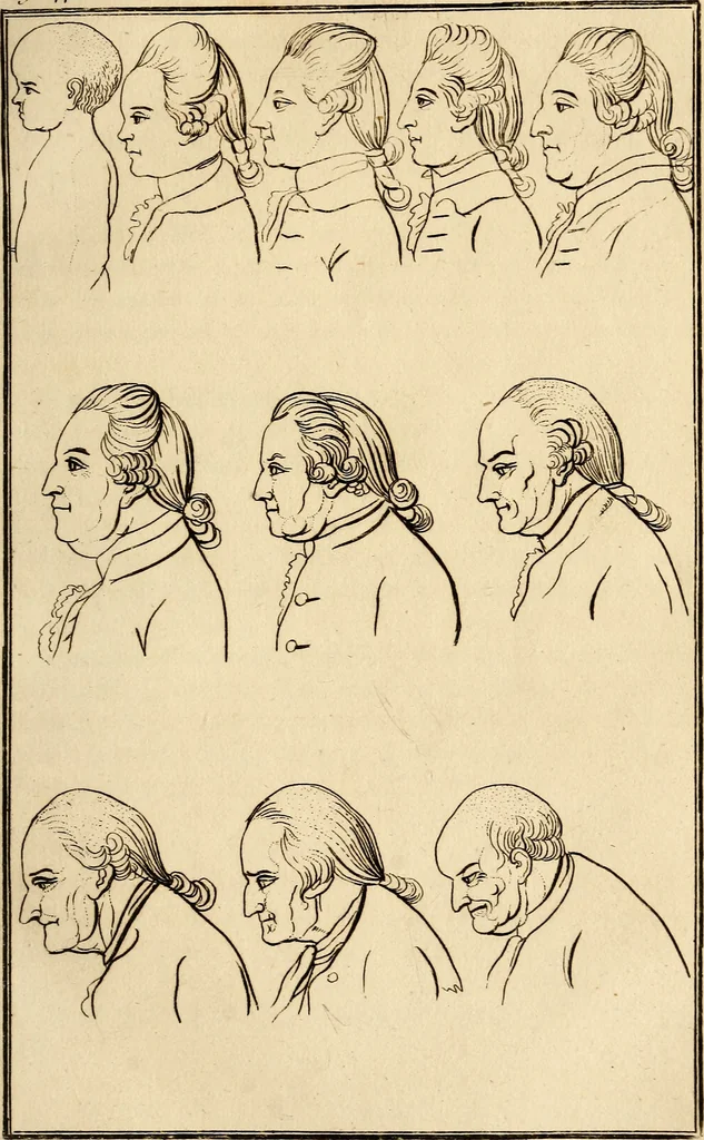 An illustration from Essays on physiognomy; calculated to extend the knowledge and the love of mankind, 1797, leaf 190