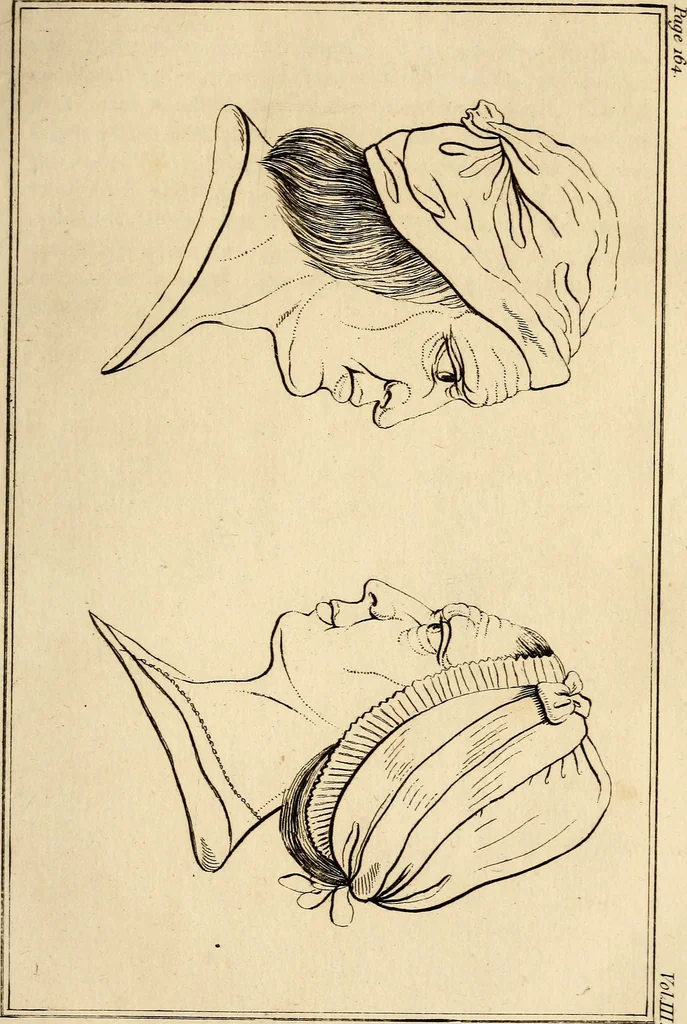 An illustration from Essays on physiognomy; calculated to extend the knowledge and the love of mankind, 1797, leaf 214