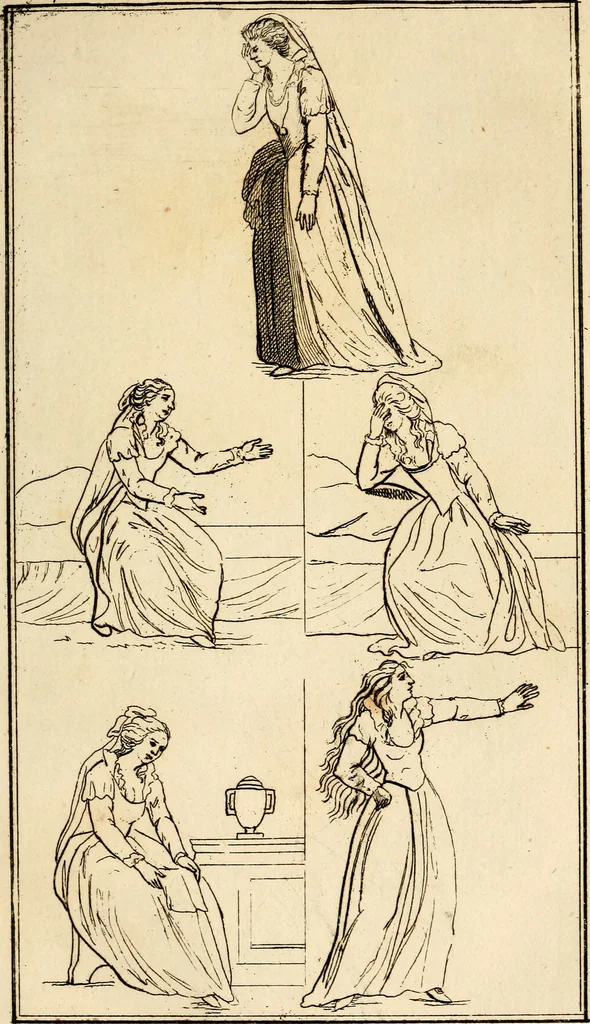An illustration from Essays on physiognomy; calculated to extend the knowledge and the love of mankind, 1797, leaf 238