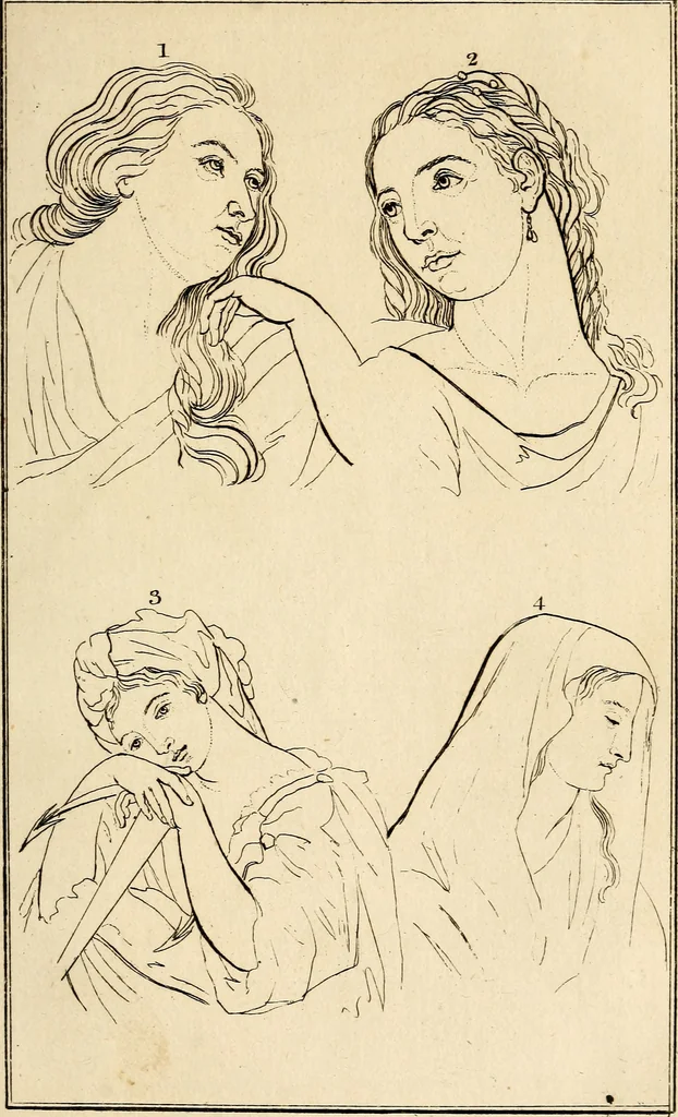 An illustration from Essays on physiognomy; calculated to extend the knowledge and the love of mankind, 1797, leaf 252