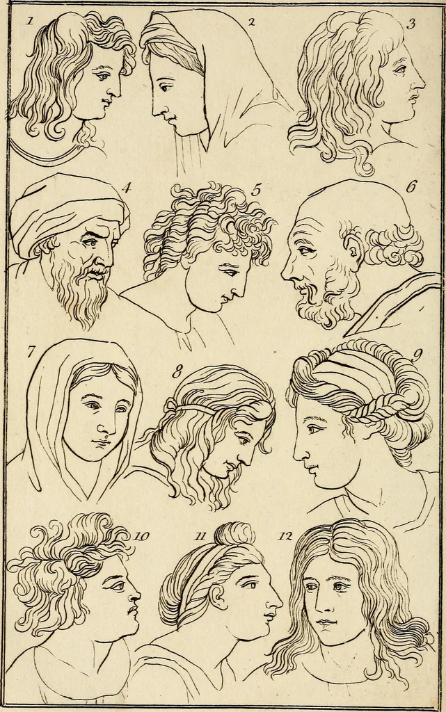 An illustration from Essays on physiognomy; calculated to extend the knowledge and the love of mankind, 1797, leaf 255
