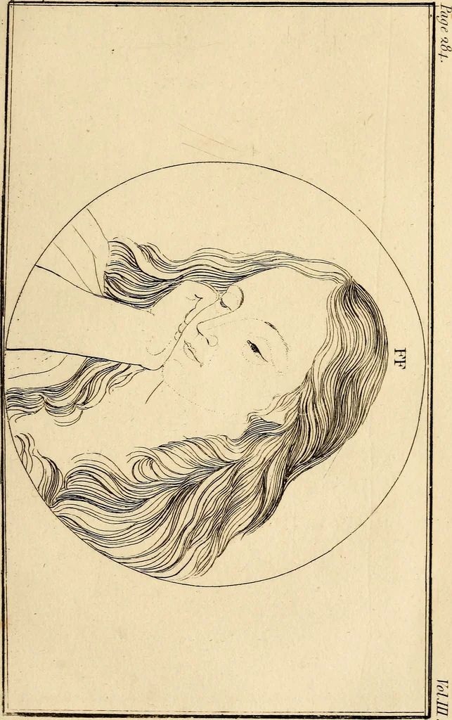 An illustration from Essays on physiognomy; calculated to extend the knowledge and the love of mankind, 1797, leaf 262